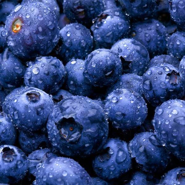 Blueberry • HiLIQ